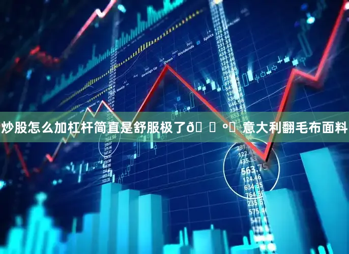 炒股怎么加杠杆简直是舒服极了💺	意大利翻毛布面料