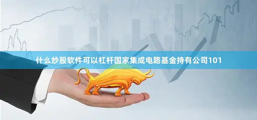 什么炒股软件可以杠杆国家集成电路基金持有公司101